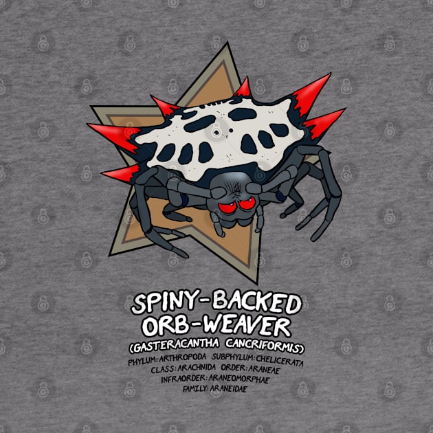 Spiny-Backed Orb-Weaver by Cyborg One